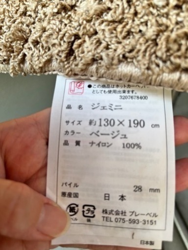ジェミニ⭐︎ラグ