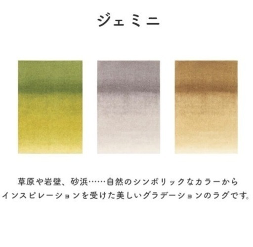 ジェミニ⭐︎ラグ