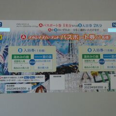 ナガシマスパーランド　パスポート　1枚