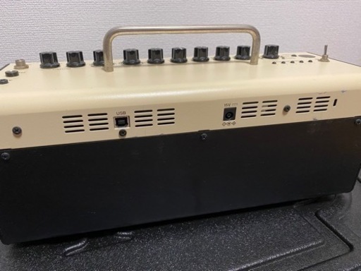 【本日限定価格】THR10