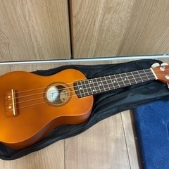 ウクレレ　そんなに高価ではなかったものですが
