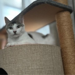 優しいミリちゃん