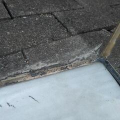 水槽2本セット（アクリル75cm，ガラス60cm）の画像