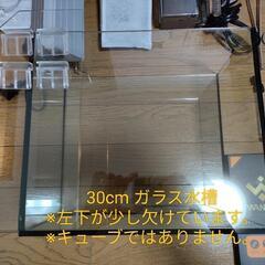 30cm 水草水槽セットの画像