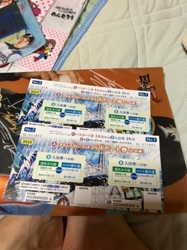 ナガシマスパーランドパスポート券2名分