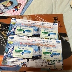 ナガシマスパーランドパスポート券2名分
