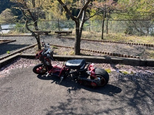 ズーマー　ロンホイカスタム