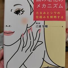 顔の老化のメカニズム