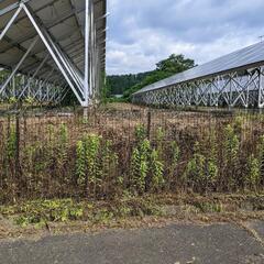 太陽光パネル下草刈り - 長浜市