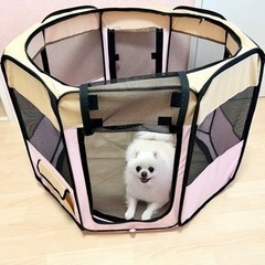 【美品】ペット用　簡易サークル