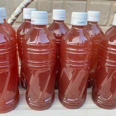 《自家製》PSB 光光合成細菌　500㎖