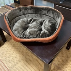 猫ベッド　カインズペットグッズ