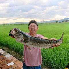 新潟の「海」で魚突き(スピアフィッシング) - 友達