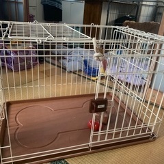 犬ゲージ