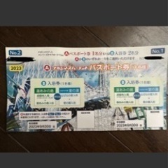 ナガシマスパーランド パスポート