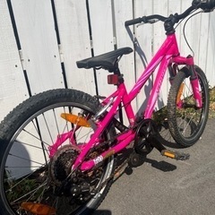 SPECIALIZED HOTROCK 20インチの画像
