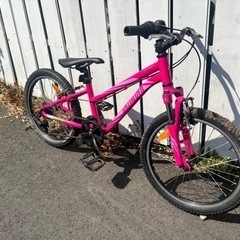 SPECIALIZED HOTROCK 20インチの画像