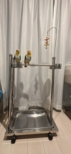 中型大型インコ用止まり木　ステンレス製