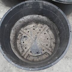 高松 超大型の植木鉢 ポット 大鉢 １００Ｌ NPポット＃１００ プラスチック製 植木 苗木 黒 22号鉢相当品 育苗 中古品 先日まで普通に使用の画像