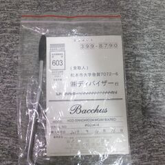 【レア】BACCHUS（バッカス）エレキギター　HGD-STANDARD24-MG/M　BLK/RED　アーム・ソフトケース付の画像