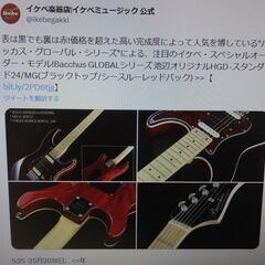 【レア】BACCHUS（バッカス）エレキギター　HGD-STANDARD24-MG/M　BLK/RED　アーム・ソフトケース付の画像