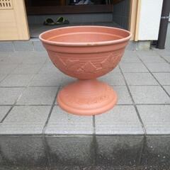 プランター10個くらいあります。