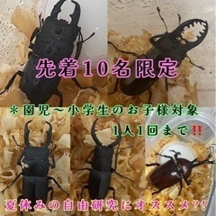 【先着10名限定】カブクワくじ