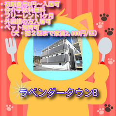 🍎 ラベンダータウンＢ2-I🍎✨仲介手数料無料✨礼金なし（ゼロ）物件✨🐶ペット(犬・猫）飼育可★間取り1K（洋室6帖、K3帖）  　　　　 　★お家賃21,000円の画像