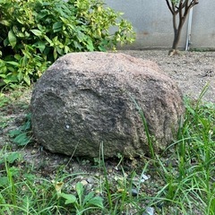 庭石