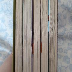 火村英生のフィールドノートの画像