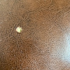 アンティーク風ソファーの画像