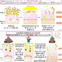 光脱毛　光フェイシャル　プライベートサロン　 - ボディケア