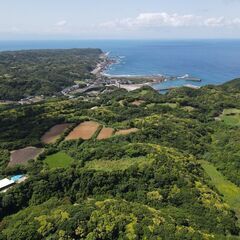 西之表市国上【売地】湊漁港南側の高台広々畑と山林2,055坪150万円 - 不動産