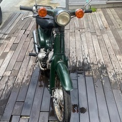 カブ　C50