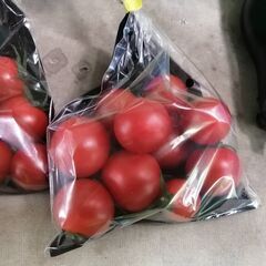 ミニトマト【アイコ】250ｇの画像