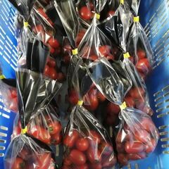 ミニトマト【アイコ】250ｇの画像