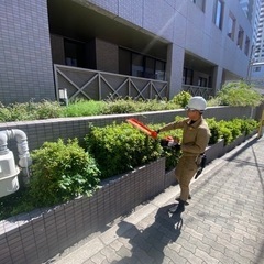 大阪で1番の造園会社を目指しています❗️人材募集‼️    日給...