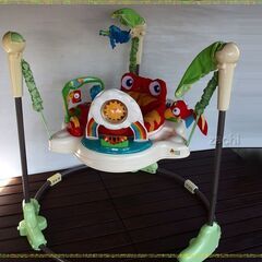 ★★★フィッシャープライス(fisher price) レインフ...