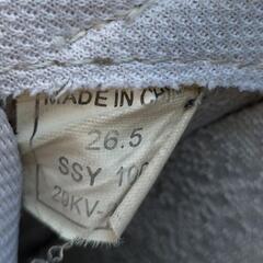 ミズノ　上履き　体育館履きの画像