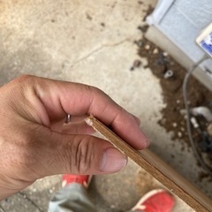 中古ベニヤ板　5.5ミリ　合板　ベニア板　840×800の画像