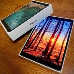 【画像参照】★iPad Pro★(10.5インチ)　人気スペースグレイ