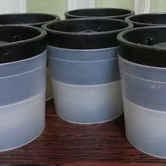 ロックグラスにピッタリ！丸氷・アイスボール６個（バラ売りOK　1個280円）の画像