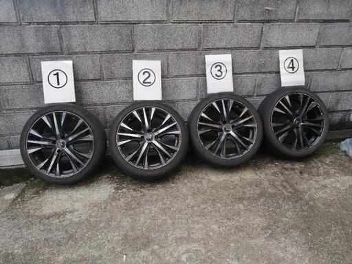 bB   NCP30 　レオニスです。