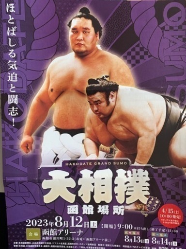 最終値下げ　大相撲　函館場所　8/12 土　ペアチケット　通路側より2連番