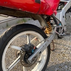 【再募集】NS1 レーサーベースの画像