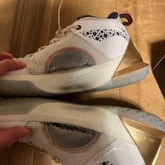 ドウェインウェイド　バスケットボールシューズ　白金の画像