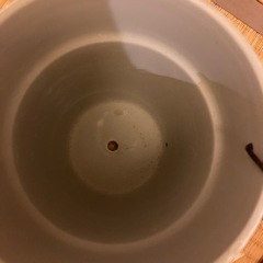 鉢(4号)の画像