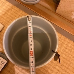 鉢(4号)の画像