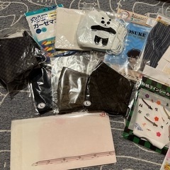 マスク マスクケース 新品・未使用(お譲り先が決まりました)