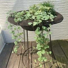 植木鉢